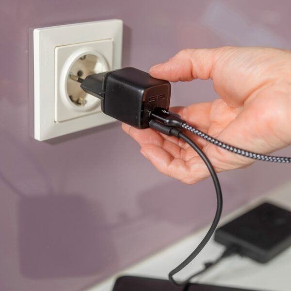 Ładowarka sp connect 30w eu spc/spc+ - obrazek 2